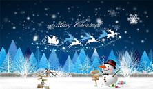 Cenfirm Wish You Merry Christmas